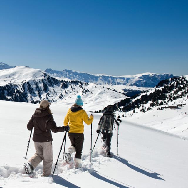 Schneeschuhwanderungen &amp; Tourenski